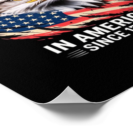 No Kings In America Classic Retro Graphic Design Poster (Hoek)