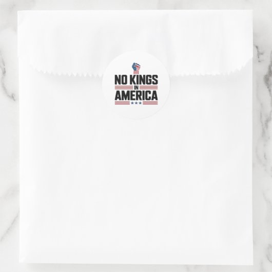 No Kings In America USA Retro Classic Ronde Sticker (Tas)