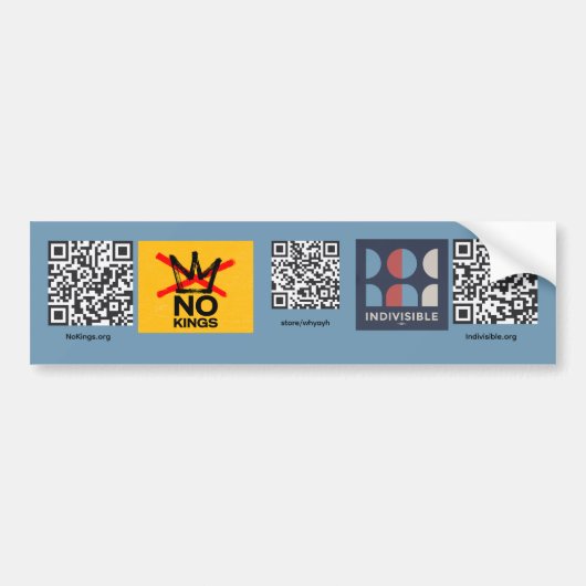 No Kings / Indivisible Bumpersticker (Voorkant)