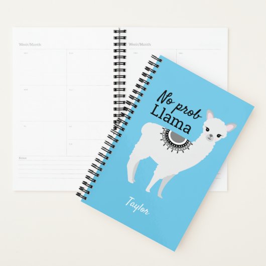 No Prob Llama jolie illustration en lama personnal (Devant avec enveloppe)