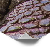 No Rush Poster (Hoek)