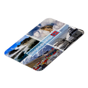 NO Svalbard - Gullybreen Magdalenefjorden - Magneet