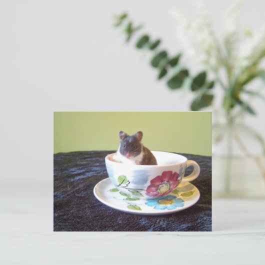 noah 2 Carte postale (Debout devant)