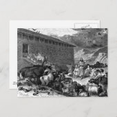 Noah en Ark Briefkaart (Voorkant / Achterkant)
