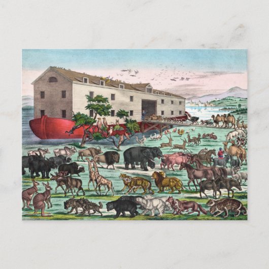 Noah's Ark briefkaart (Voorkant)