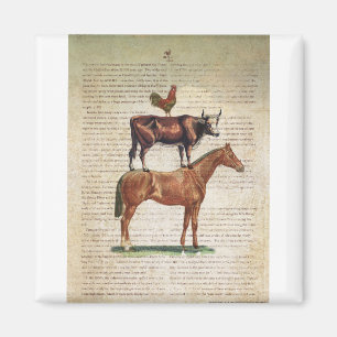 NOB12-Boerderij standaard C1.tif Magneet