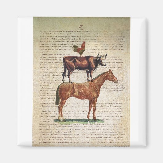 NOB12-Boerderij standaard C1.tif Magneet (Voorkant)