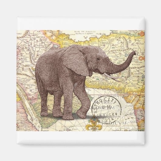 NOB173 Trunk 1.tif Magneet (Voorkant)