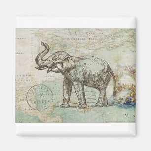 NOB174 Trunk 2.tif Magneet