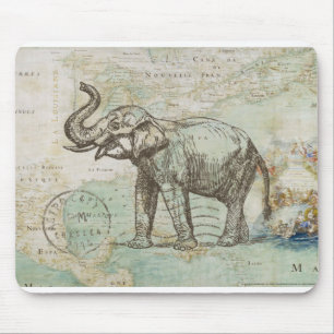 NOB174 Trunk 2.tif Muismat