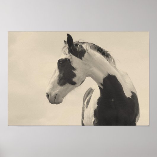 Nobel Beast Poster (Voorkant)