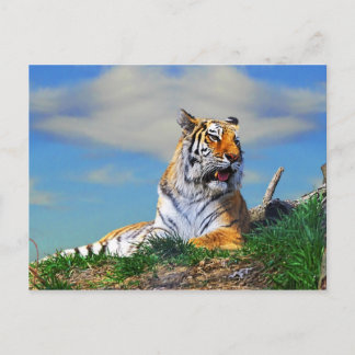Nobel Tiger Briefkaart