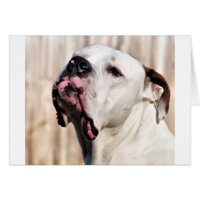 Noble (Devant horizontal)