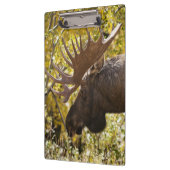 Noble Bull Moose Klembord (Links)