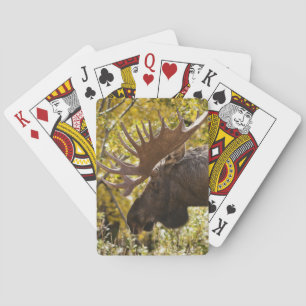 Noble Bull Moose Pokerkaarten