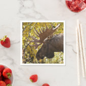 Noble Bull Moose Servet (Insitu)