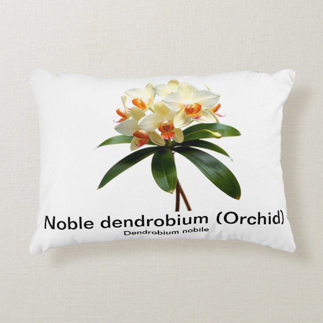 Noble dendrobium orchidée Accent Coussin (Devant)