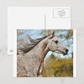 Noble en Proud Briefkaart (Voorkant / Achterkant)