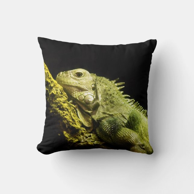Noble Iguana Sierkussen (Voorkant)