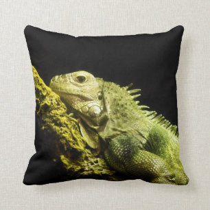 Noble Iguana Sierkussen