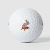 Noble Rabbit Golfballen (Voorkant)