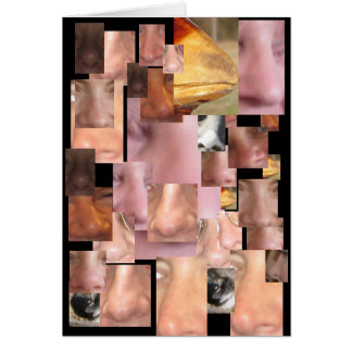 NOBODY NOSE