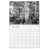 nobunny édition rétrospective du calendrier 2026 (Jan 2027)