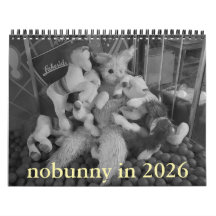 Nobunny in 2026 kalender retrospectieve editie