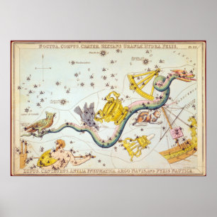 Noctua, Corvus, Crater, enz. Poster