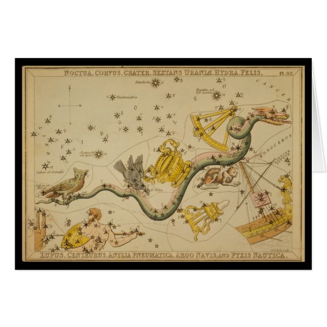 Noctua, Corvus, Hydra, Felis, Lupus, Centaurus, &c (Devant horizontal)