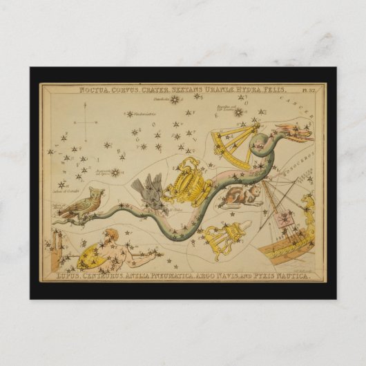 Noctua, Corvus, Hydra, Felis, Lupus, Centaurus, &c Briefkaart (Voorkant)