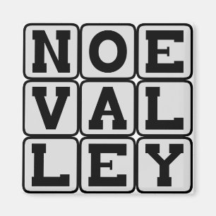 Noe Valley, district San Francisco Magneet