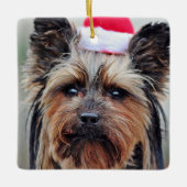 Noël à la chienne Ornement à la marionnette (Devant)