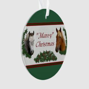 Noël à Mare-y