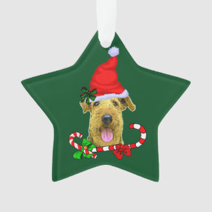 Noël Airedale Terrier