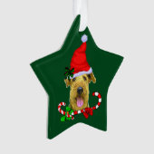 Noël Airedale Terrier (devant)
