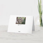 Noël australien à vous carte de voeux (Dos)