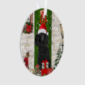 Noël aux canicules (devant)