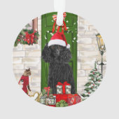 Noël aux canicules (dos)