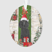 Noël aux canicules (devant)