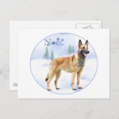 Noel Belgium Malinois Feestdagenkaart (Voorkant / Achterkant)