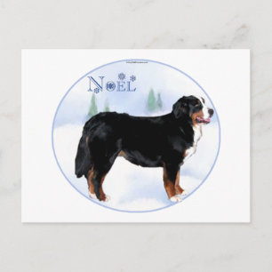 Noel Bernese Mountain Dog Feestdagenkaart