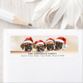 Noël Boxer Chien Retour Adresse Étiquettes (En situation)