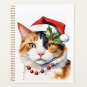 Noël Calico (Devant)