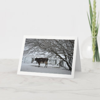 Noël. Carte de vœux. Vache en neige.