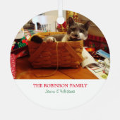 Noel Cat Photo Ornement de vacances (Verso)