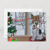 Noël, Chant Chat, Neige, Carte postale (Devant / Derrière)