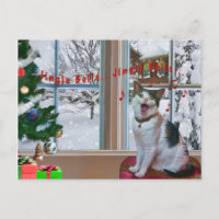 Noël, Chant Chat, Neige, Carte postale