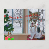 Noël, Chant Chat, Neige, Carte postale (Devant)