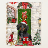 Noël Chien Teckel (Devant)